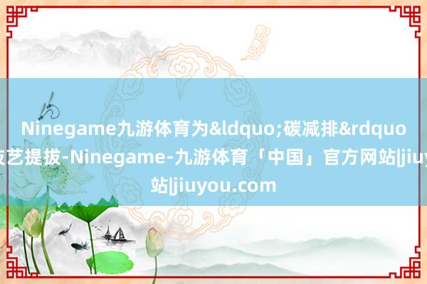 Ninegame九游体育为&ldquo;碳减排&rdquo;提供了技艺提拔-Ninegame-九游体育「中国」官方网站|jiuyou.com