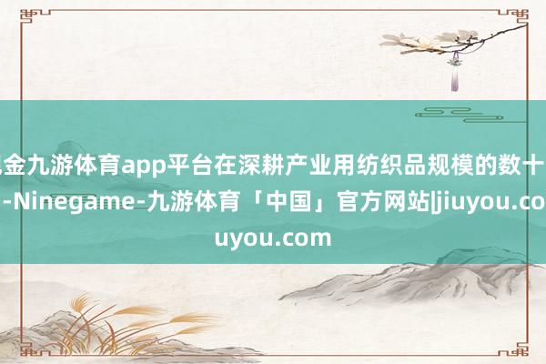 现金九游体育app平台在深耕产业用纺织品规模的数十年中-Ninegame-九游体育「中国」官方网站|jiuyou.com