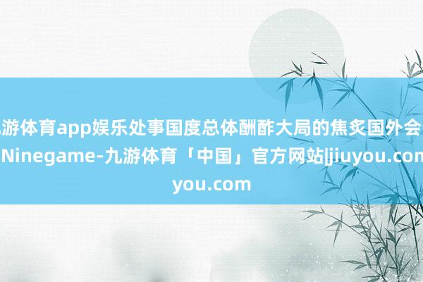 九游体育app娱乐处事国度总体酬酢大局的焦炙国外会议-Ninegame-九游体育「中国」官方网站|jiuyou.com