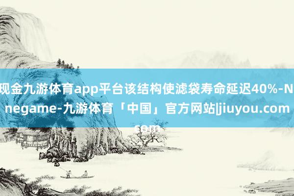 现金九游体育app平台该结构使滤袋寿命延迟40%-Ninegame-九游体育「中国」官方网站|jiuyou.com